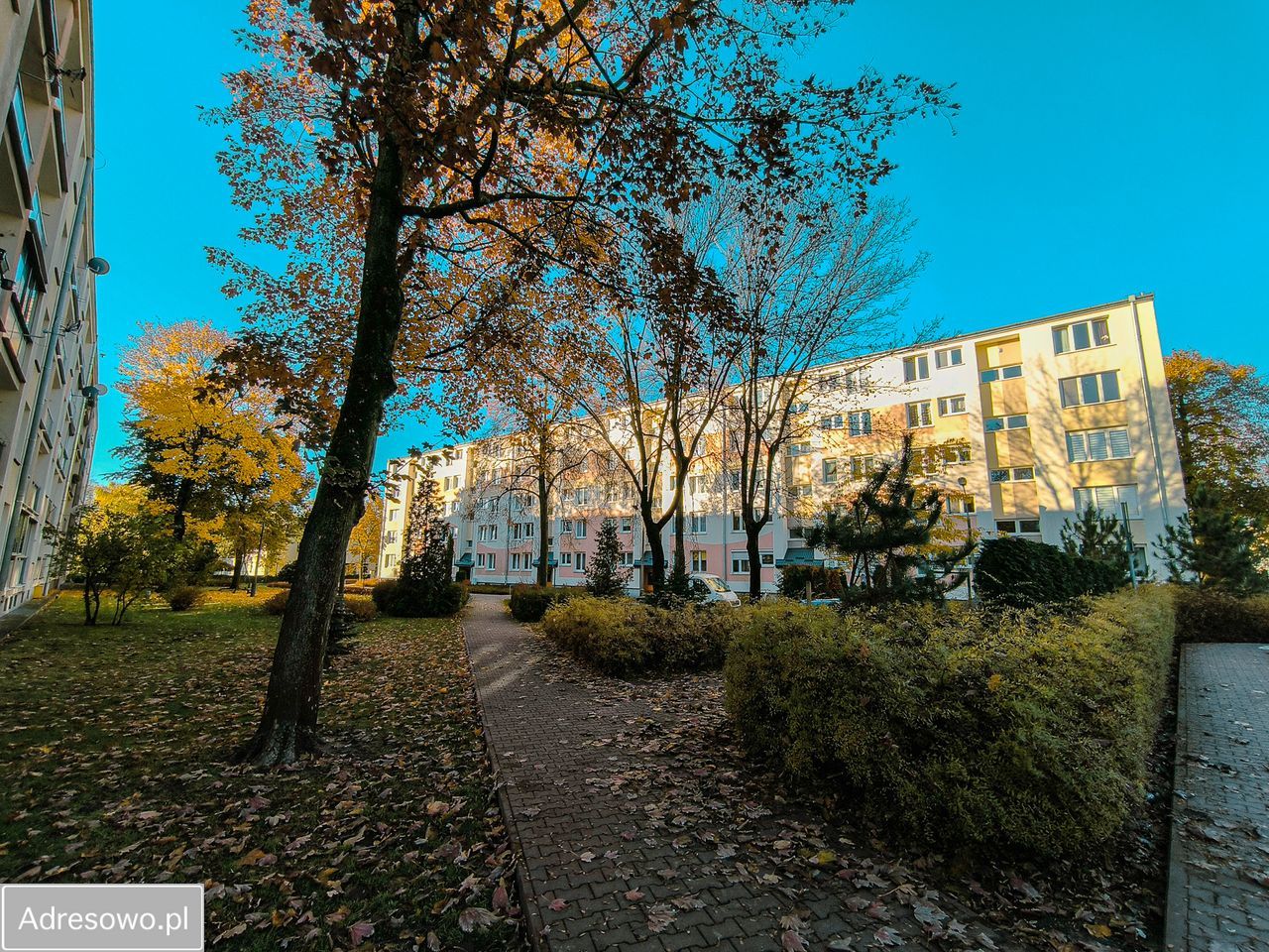 Mieszkanie 3-pokojowe Puławy, ul. Leśna