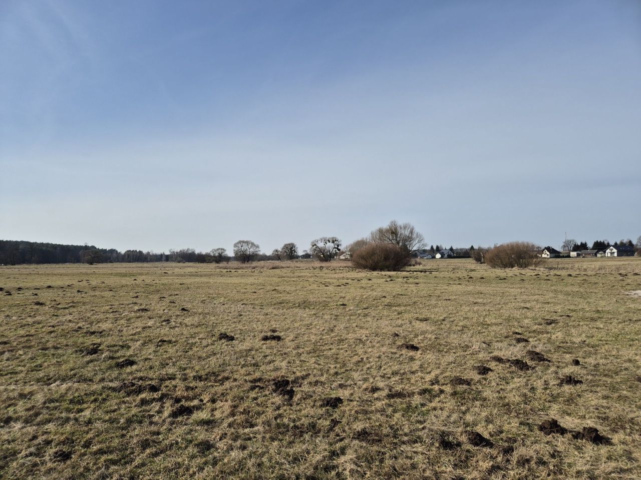 Działka rolna Życzyn. Zdjęcie 6