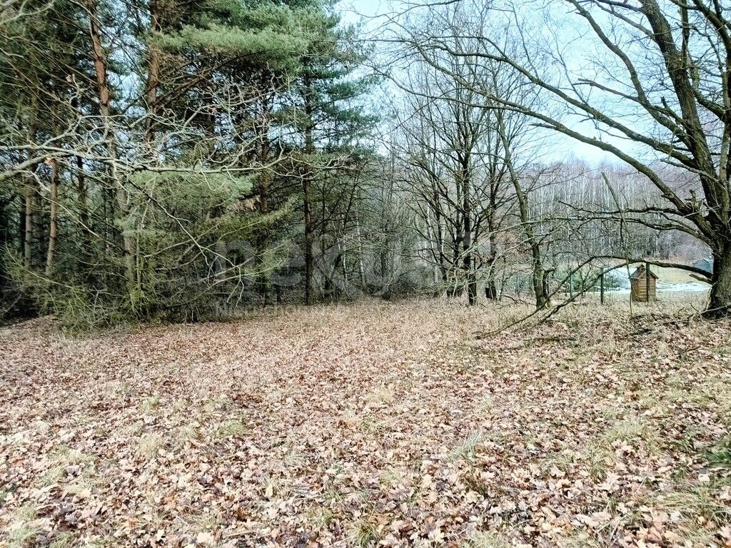 Działka budowlana Drogoszowice. Zdjęcie 2