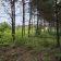 Działka budowlana Zawiercie Wydra Zielona, ul. Winna. Zdjęcie 8