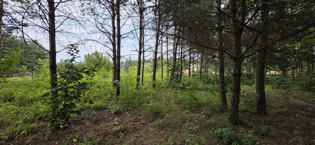 Działka budowlana Zawiercie Wydra Zielona, ul. Winna. Zdjęcie 8