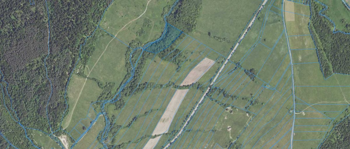 Działka rolna Daliowa. Zdjęcie 4