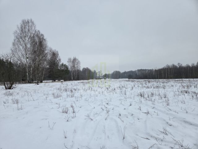 Działka rolna Stare Budy Radziejowskie. Zdjęcie 1