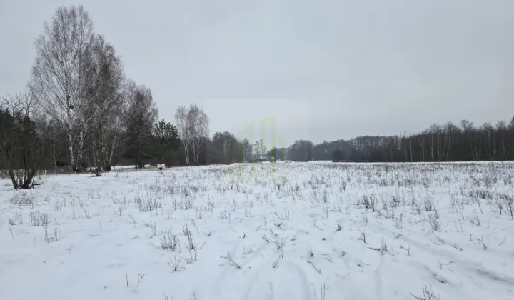 Działka rolna Stare Budy Radziejowskie