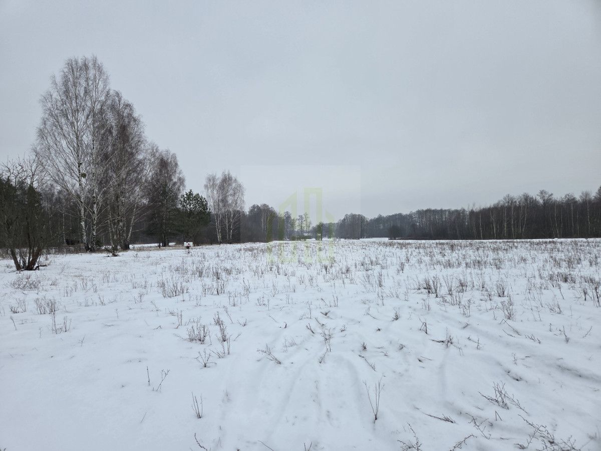 Działka rolna Stare Budy Radziejowskie