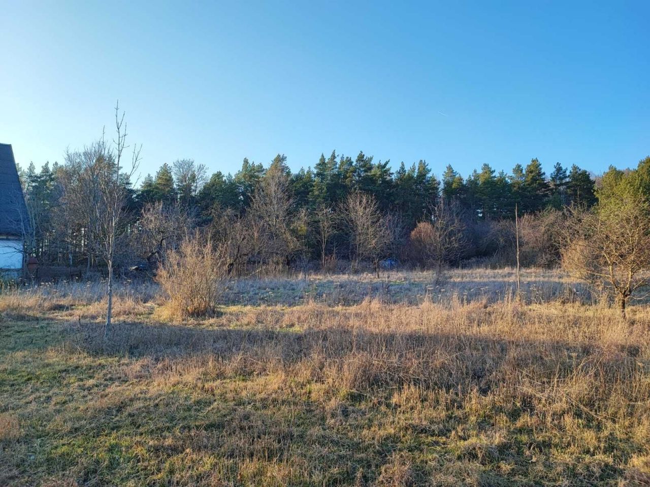 Działka budowlana Porosły, ul. Wspólna. Zdjęcie 7