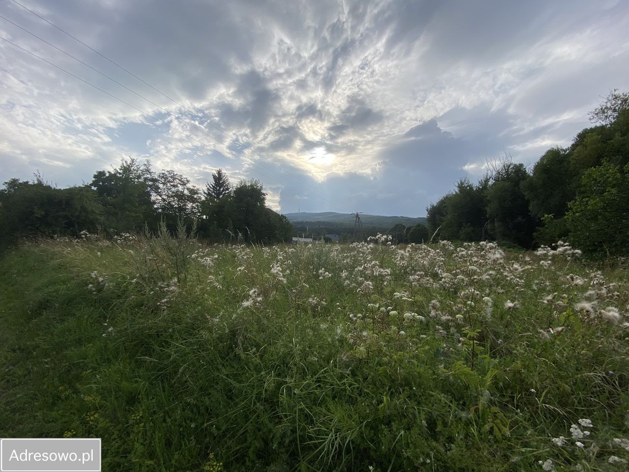 Działka budowlana Będkowice, ul. Wolności. Zdjęcie 2
