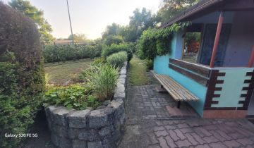 Działka rod Żary, ul. Pszenna