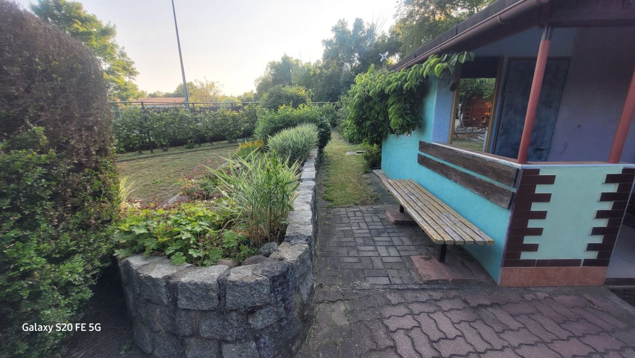 Działka rod Żary, ul. Pszenna