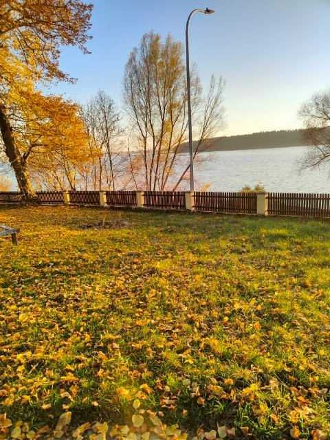 Działka budowlana Sajzy. Zdjęcie 2