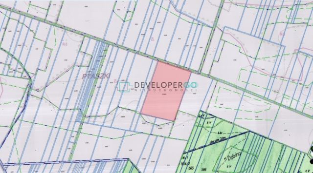 Działka leśna Ptaszki. Zdjęcie 2