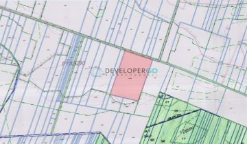 Działka leśna Ptaszki