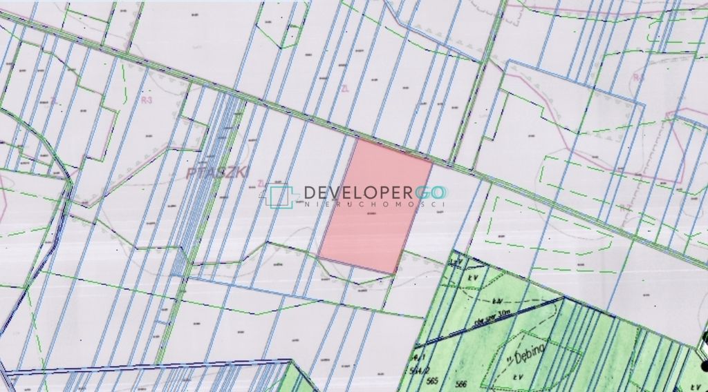 Działka leśna Ptaszki. Zdjęcie 2