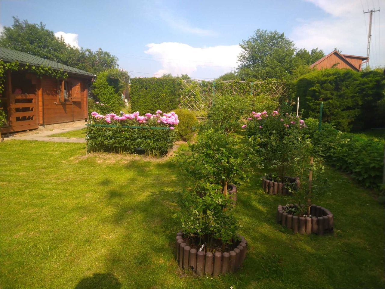 Działka rod Nowy Sącz, ul. Ogrodowa. Zdjęcie 2