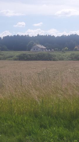 Działka inwestycyjna Koniecwałd. Zdjęcie 1