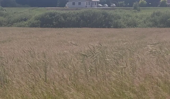 Działka inwestycyjna Koniecwałd