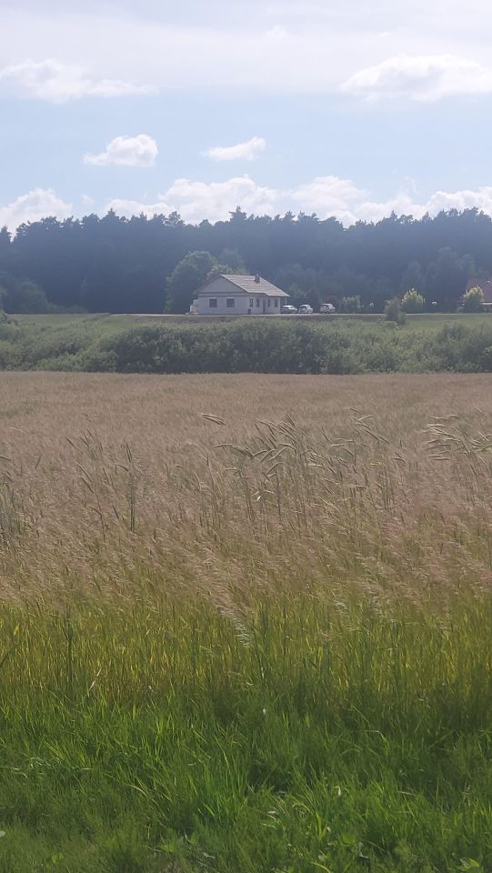 Działka inwestycyjna Koniecwałd. Zdjęcie 1
