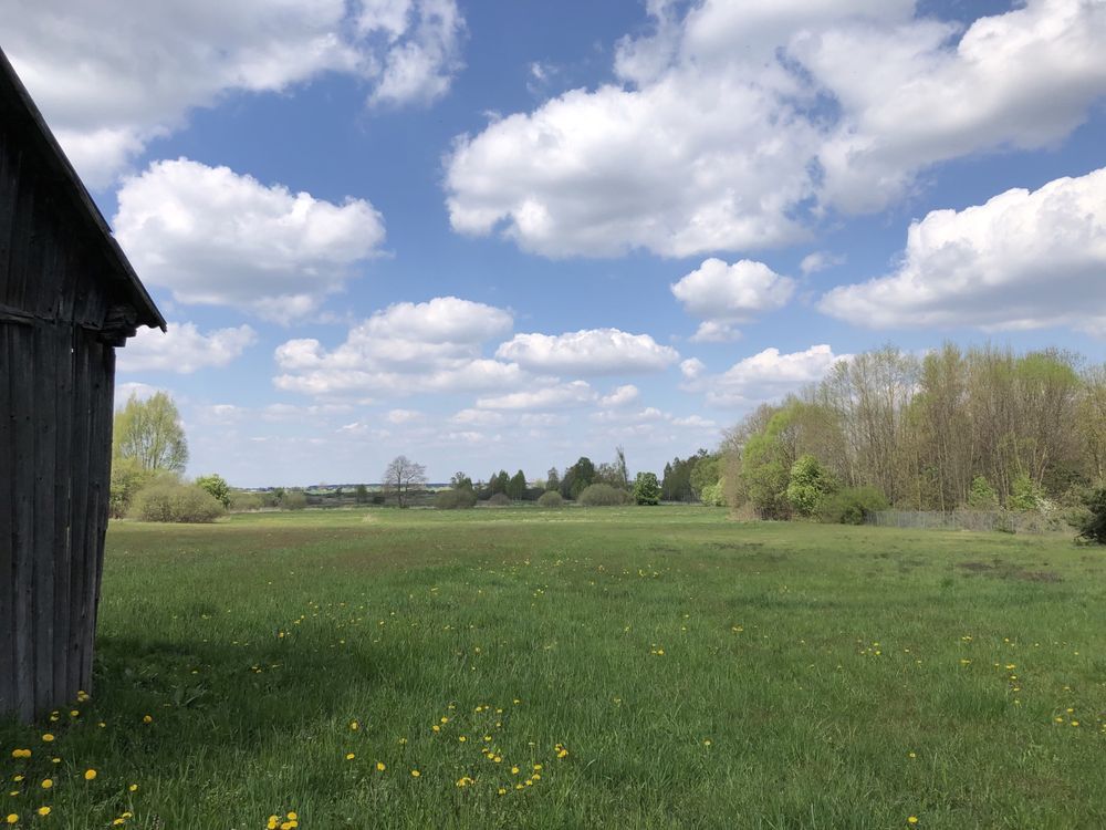 Działka rolno-budowlana Wólka Leśna. Zdjęcie 4