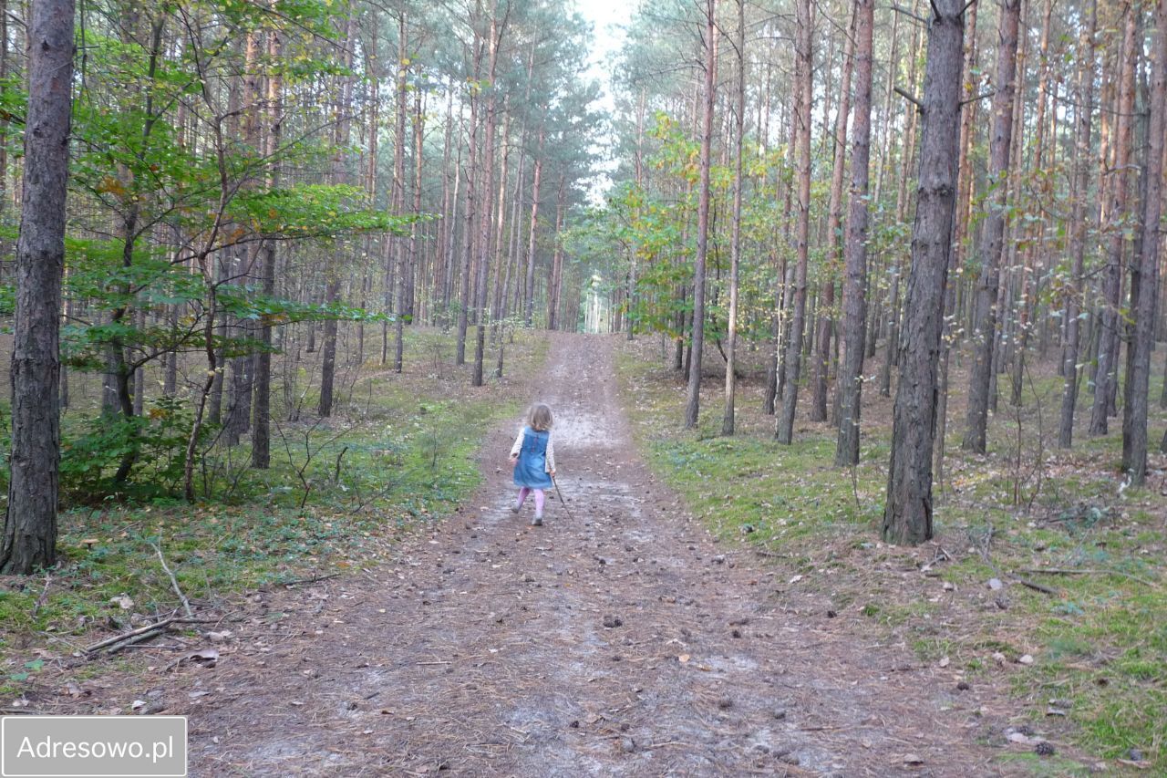 Działka budowlana Radziwiłłów. Zdjęcie 18