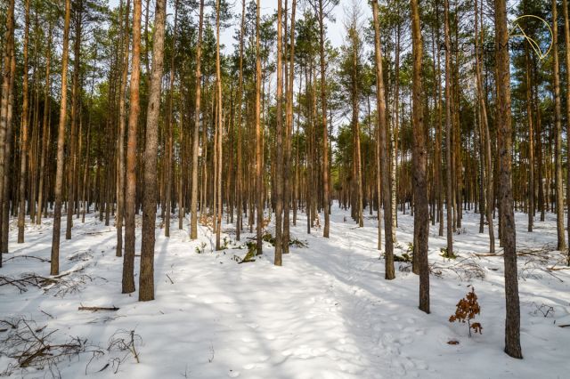 Działka budowlana Warszawa Wesoła, ul. Adama Mickiewicza. Zdjęcie 3