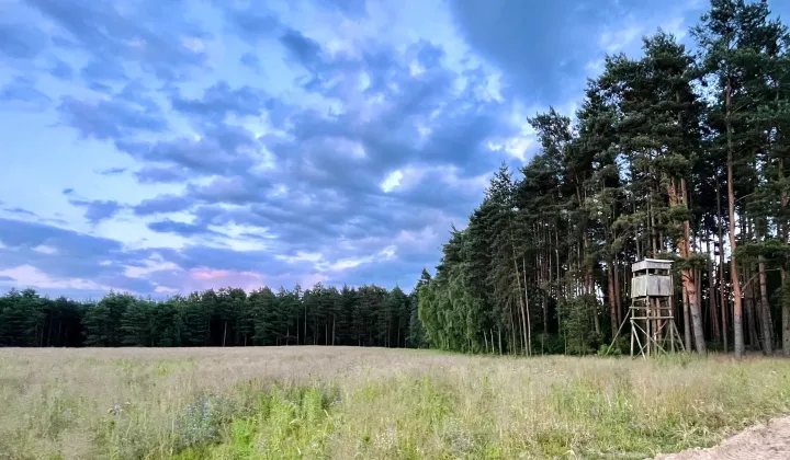 Działka budowlana Mikorzyce
