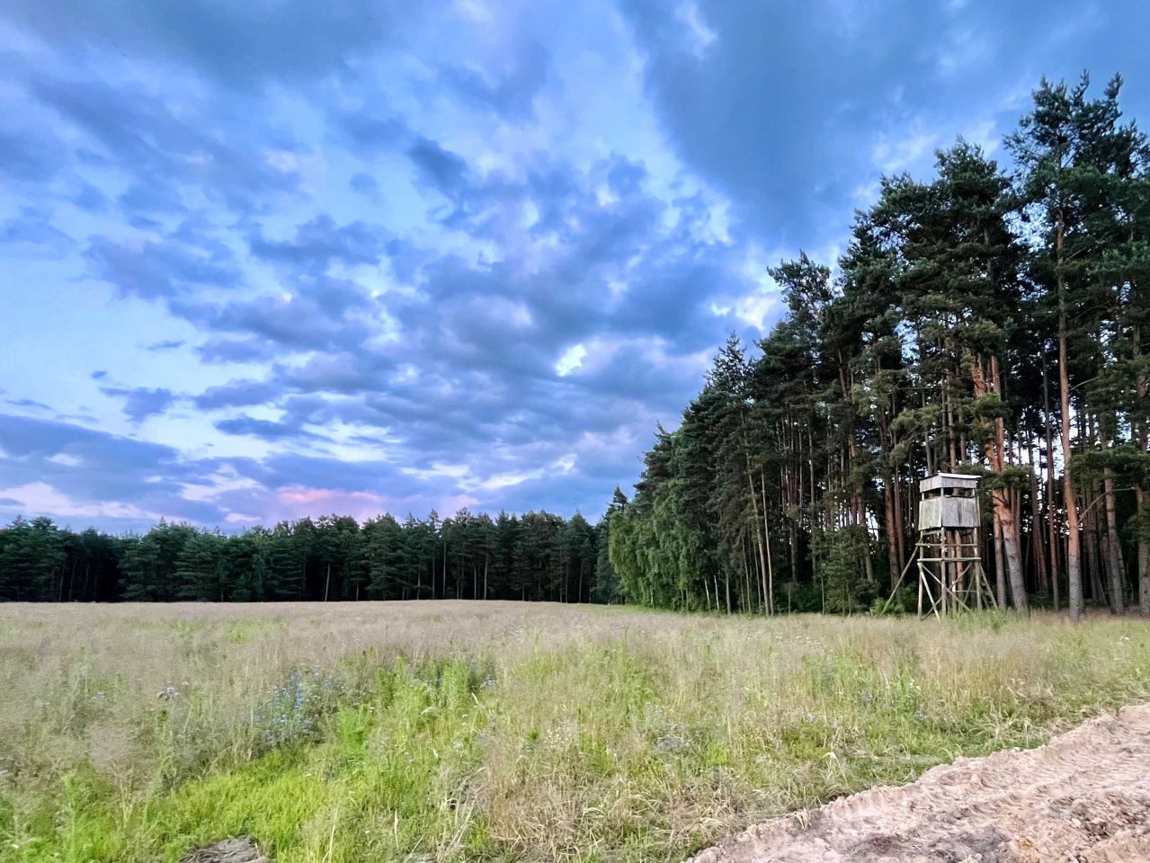 Działka budowlana Mikorzyce. Zdjęcie 1