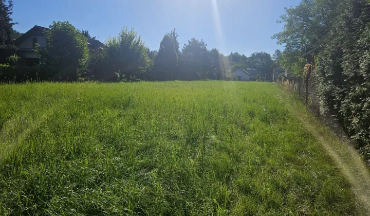 Działka budowlana Orzesze Zawiść, ul. Centralna