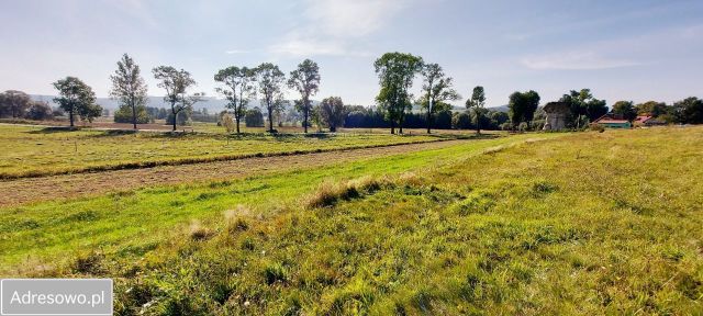 Działka budowlana Gorzeszów. Zdjęcie 1