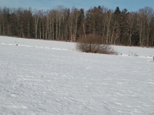 Działka rolna Mała Kamienica Sosnka, mała kamienica. Zdjęcie 3