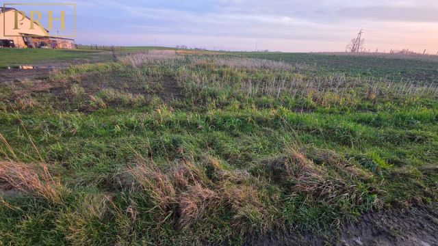 Działka Będzino. Zdjęcie 13