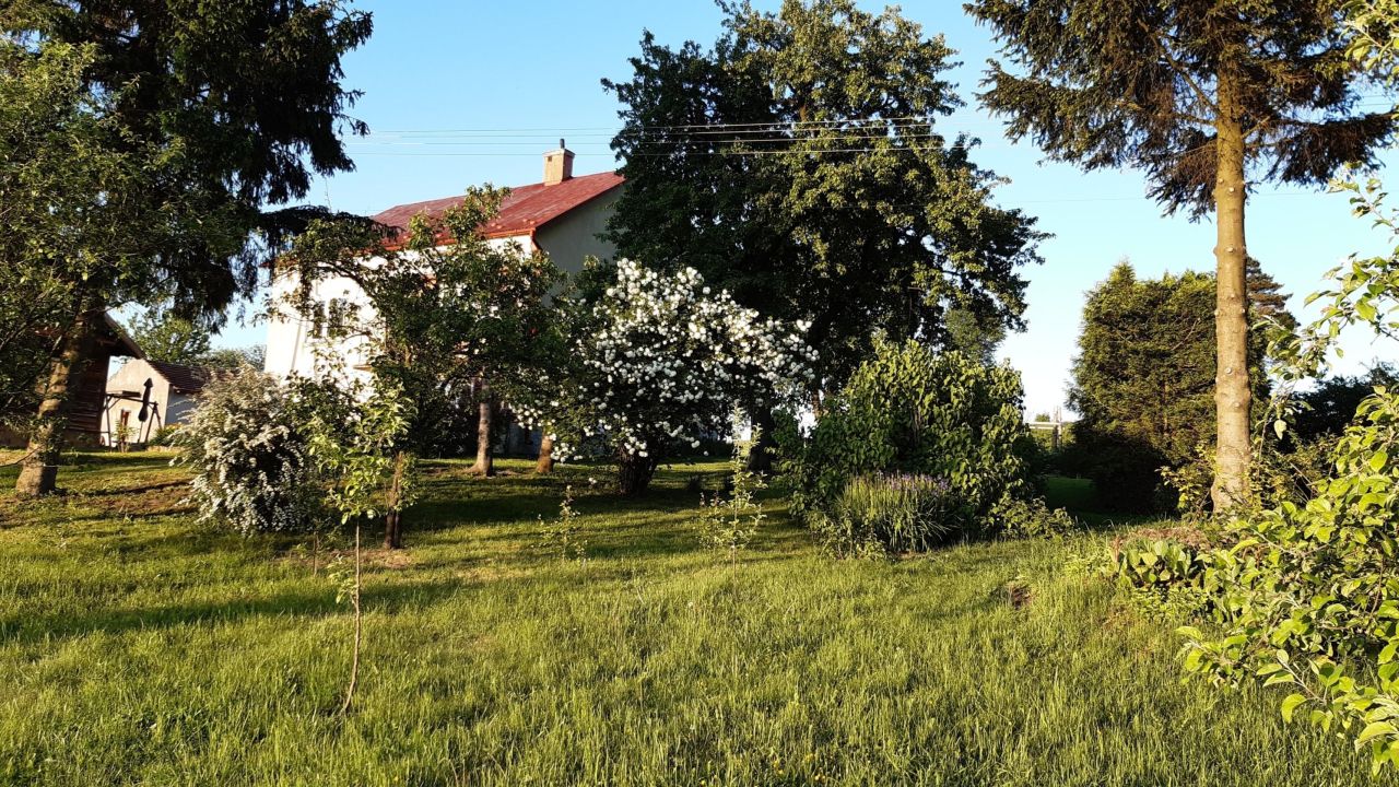 gospodarstwo, 5 pokoi Markuszowa. Zdjęcie 3