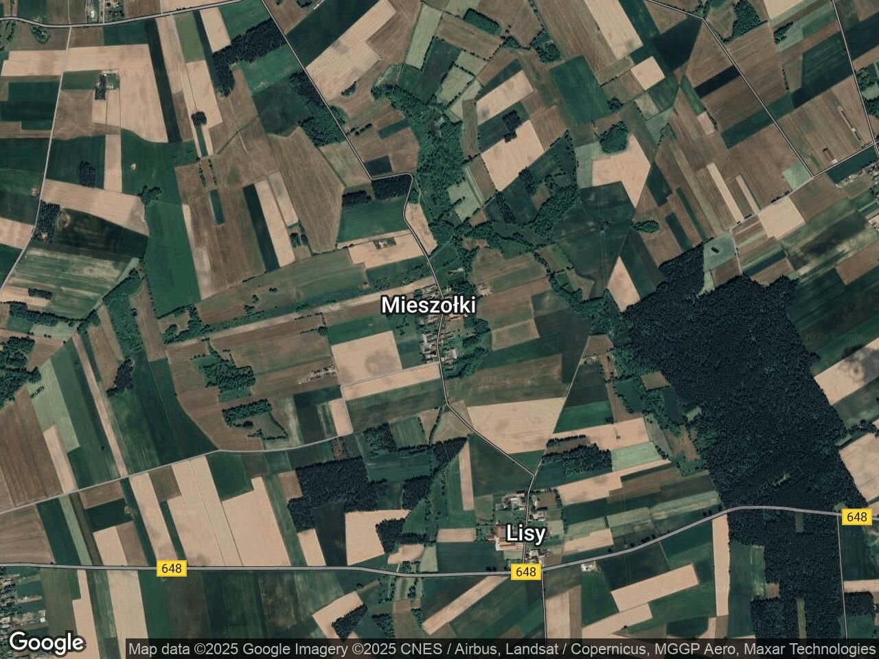 Działka siedliskowa Mieszołki