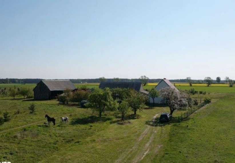 gospodarstwo Grzybowo. Zdjęcie 8