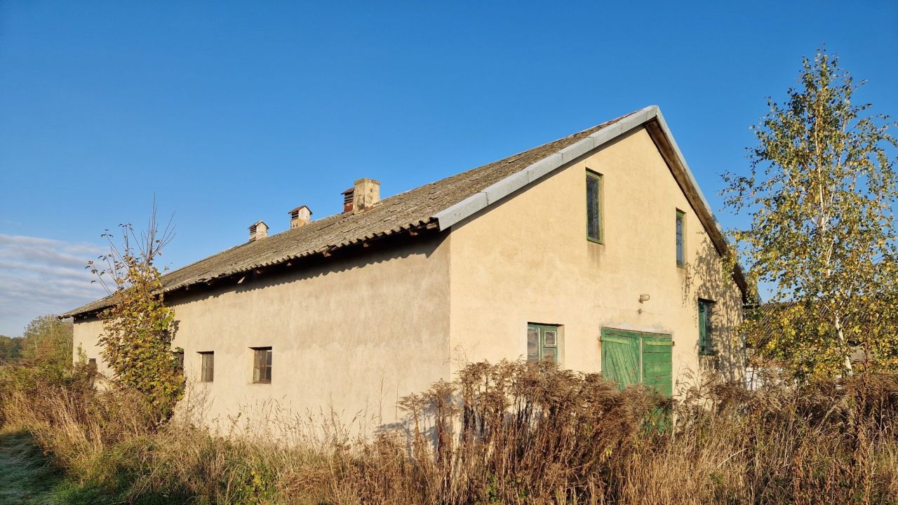 gospodarstwo Strzelna. Zdjęcie 6