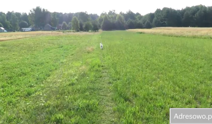 Działka rekreacyjna Majdan Wielki