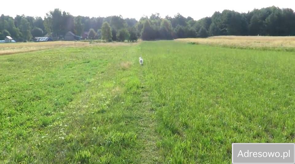 Działka rekreacyjna Majdan Wielki. Zdjęcie 1