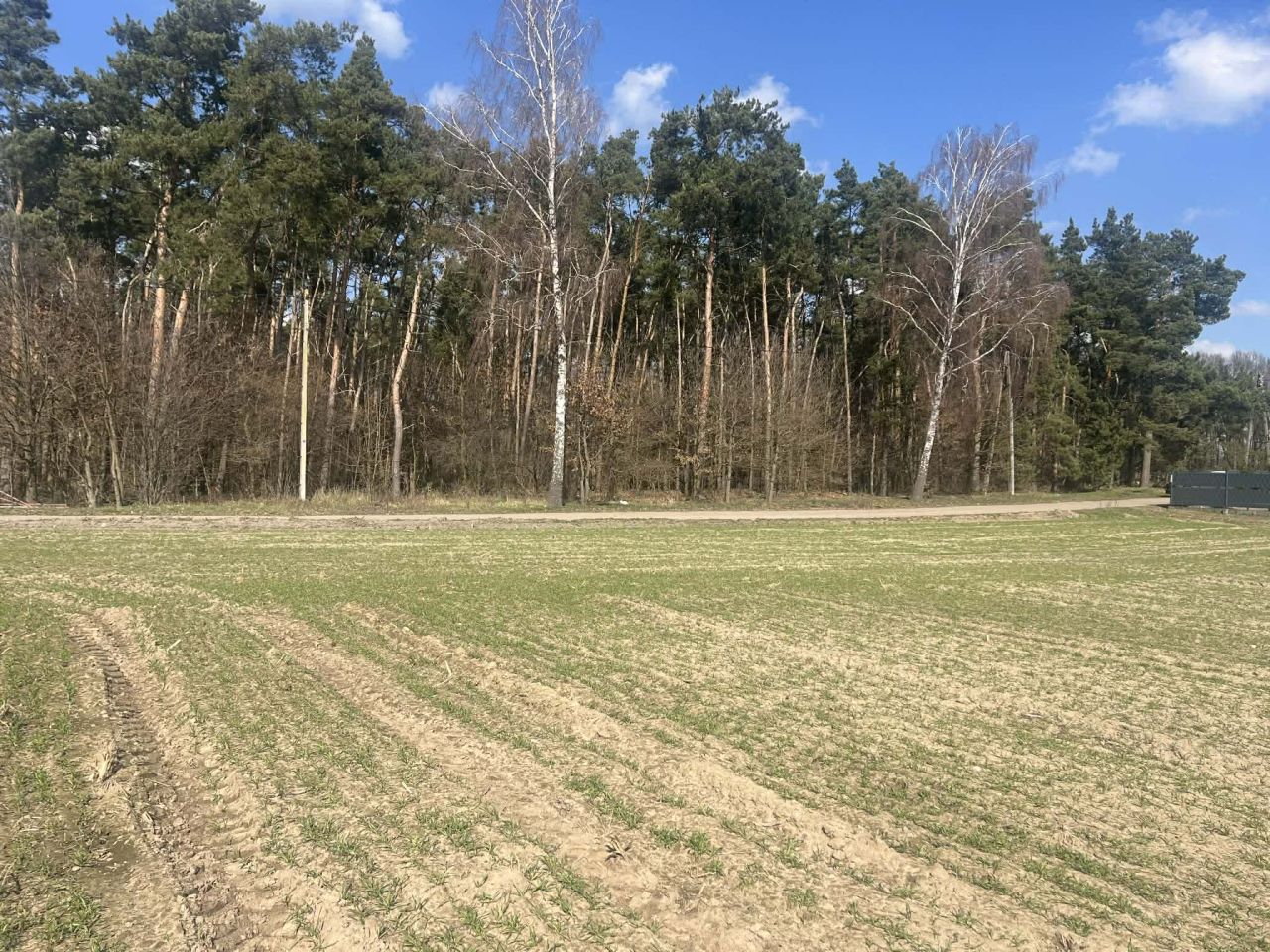 Działka budowlana Rudnicze Rudniczyn, Rudniczyn. Zdjęcie 2