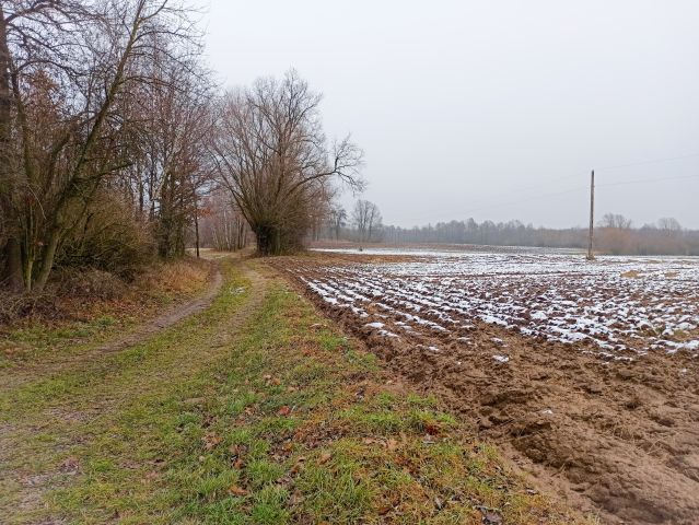 Działka rolna Ostrowite. Zdjęcie 1