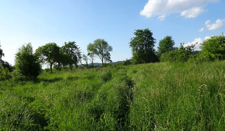 Działka budowlana Binowo