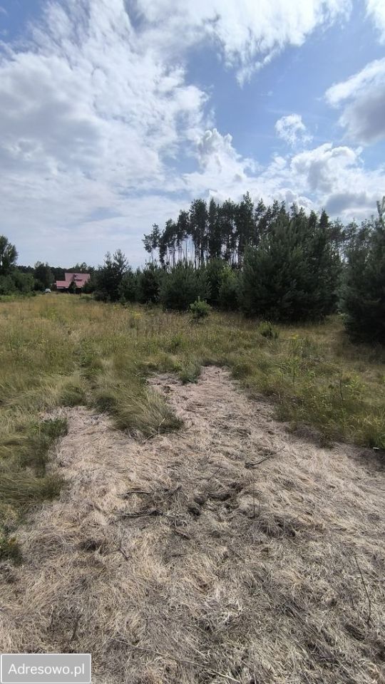 Działka rolno-budowlana Miękoszyn. Zdjęcie 4