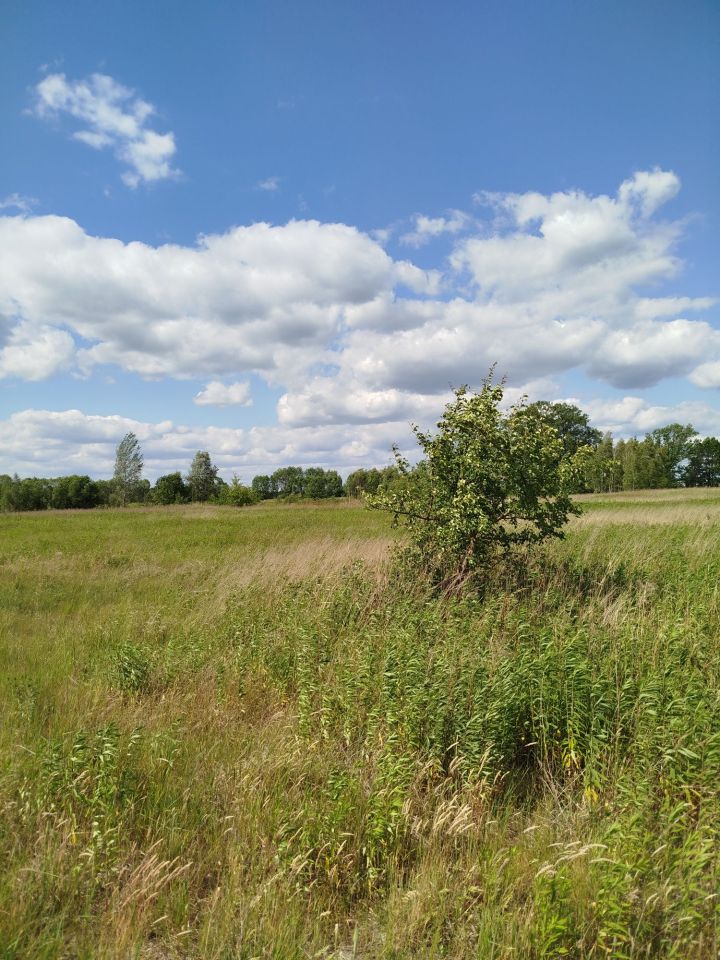 Działka budowlana Kąty. Zdjęcie 2