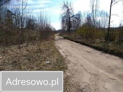 Działka rekreacyjna Pierkunowo. Zdjęcie 2