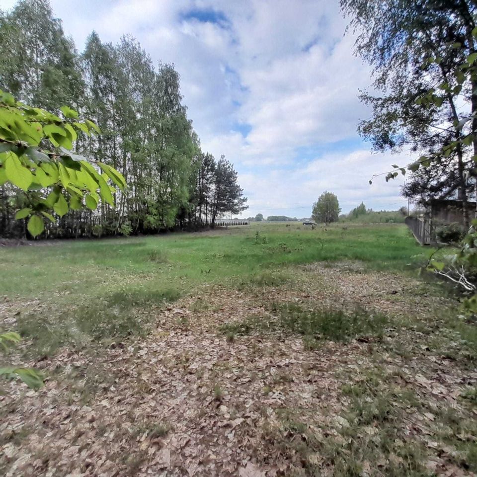 Działka rolno-budowlana Ciepielów-Kolonia. Zdjęcie 3