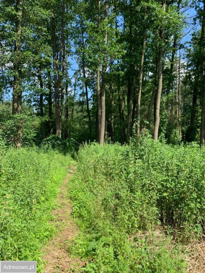 Działka rolno-budowlana Michałki. Zdjęcie 6