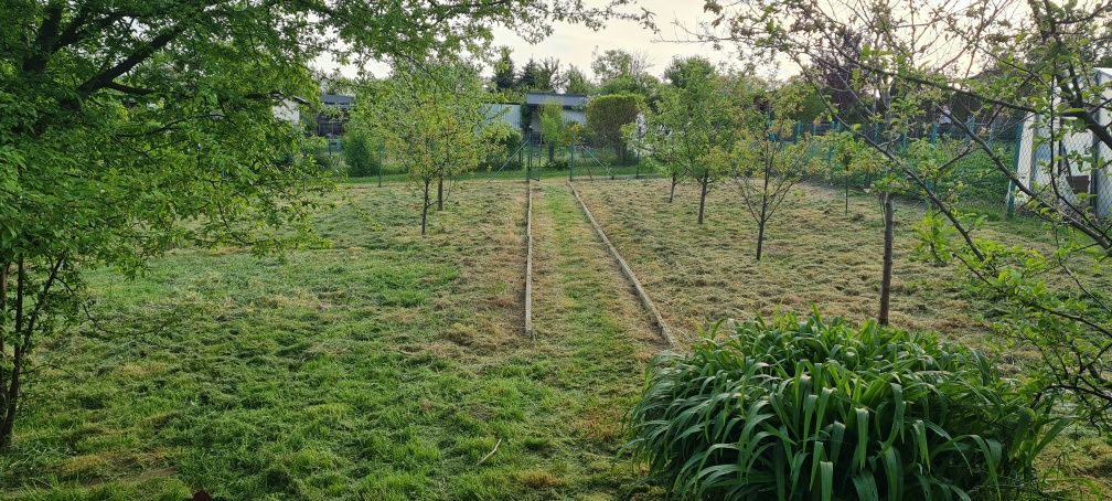 Działka rod Pszów. Zdjęcie 3