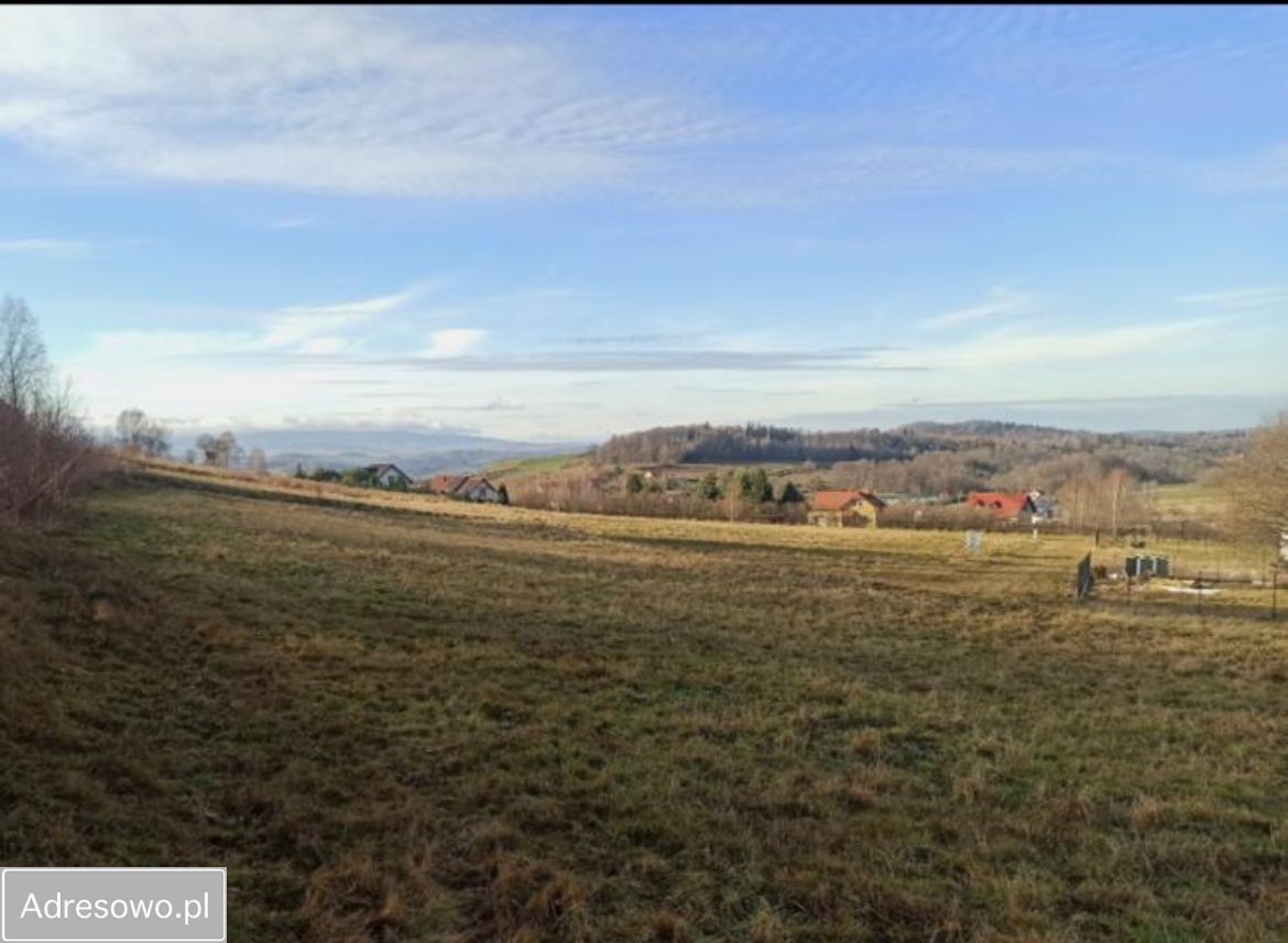 Działka budowlana Jeżów Sudecki, ul. Długa. Zdjęcie 5