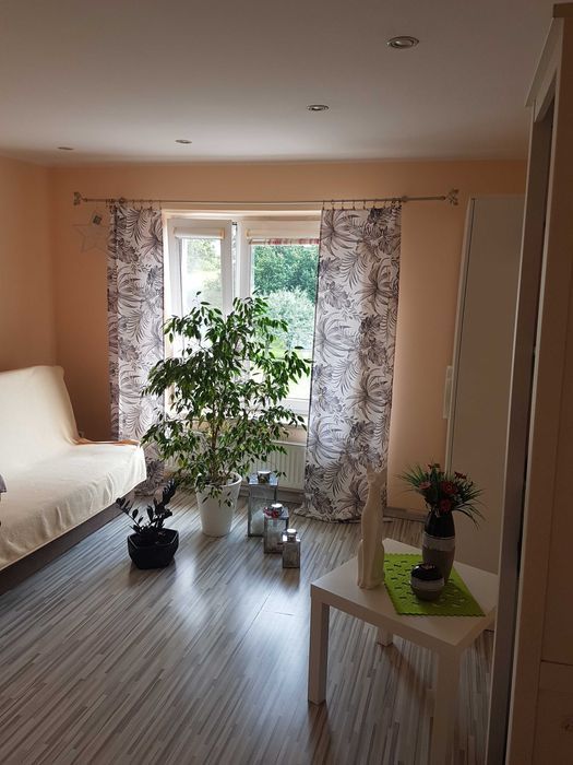 dom wolnostojący Żabiny. Zdjęcie 6