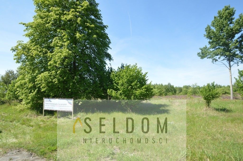 Działka inwestycyjna Grodziec. Zdjęcie 12