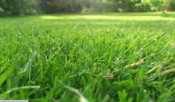 Działka budowlana Kluczbork