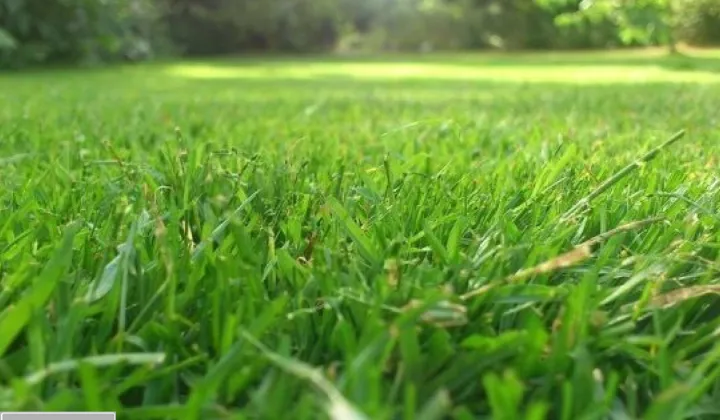 Działka budowlana Kluczbork